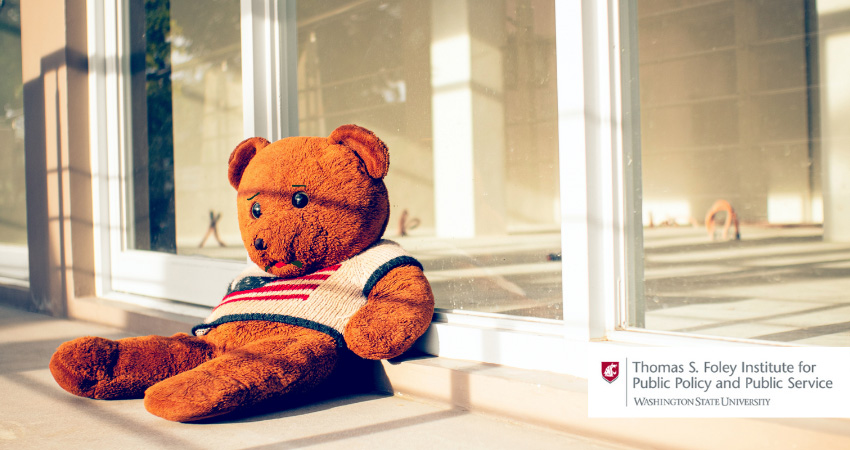 teddy bear wearing american flag tshirt