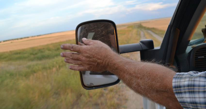 driving with arm out window