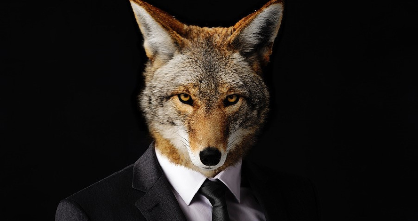 fox wearing a suit